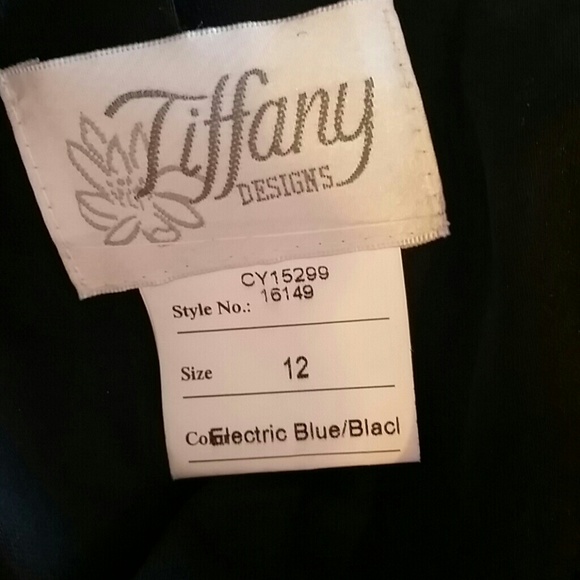 Tiffany size 12 prom dress - Picture 6 of 6